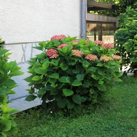 Apartmán With A Parking Space Opric, Opatija - 7828 Lovran
