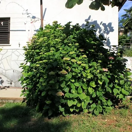 Appartement With A Parking Space Opric, Opatija - 7828